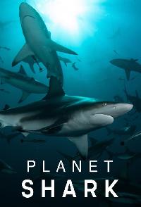 Planet Shark